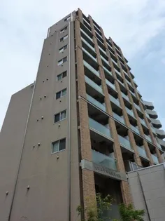 アイ ブライトの画像