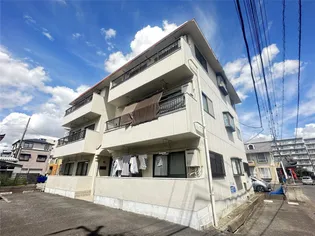 グリーンムサシノの画像