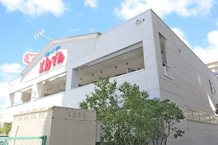 スターハイム北12条の画像