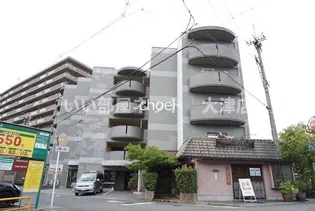 マンショングレースの画像