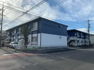 プレジールオオクラBの画像