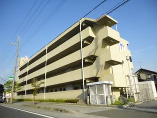 モン シェリ マ シェリの画像