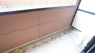 SUN BRIGHT さかII【1階】の内装