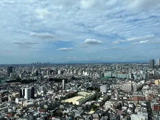 大崎ウエストシティタワーズ【37階】のその他画像