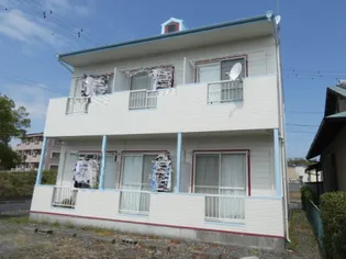 プチベールの画像