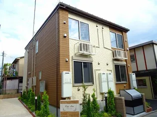 シティ ライムの画像