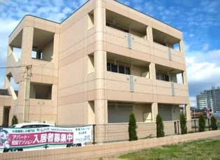 グランド ラインの画像