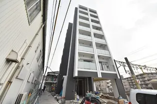 デイジー シエルの画像