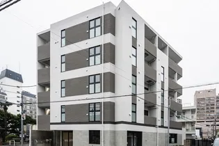 ステラフォートの画像