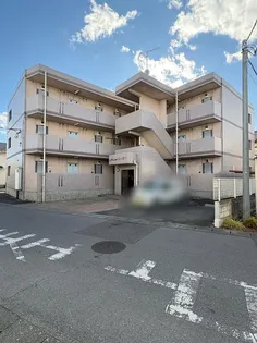 レクエルドユーミーの画像