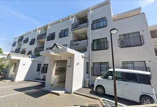 レヴ クレールの画像