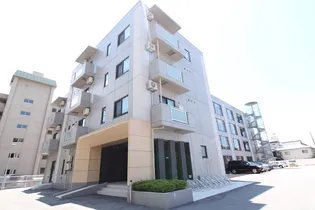 KAYA SUMI TOPIAの画像