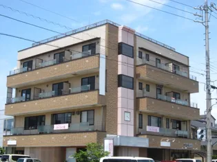 SAKURAの画像
