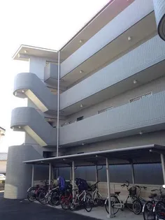 AZA才ノ免の画像