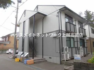 ポポラの画像
