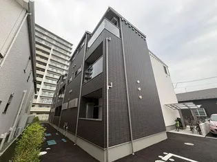 ステラの画像