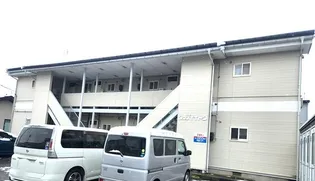 ウッディイトウの画像