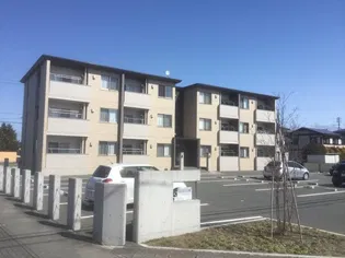 コンソラータMの画像
