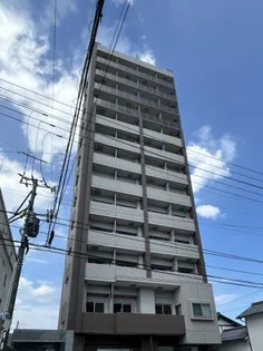 ルピナス五日市中央の画像