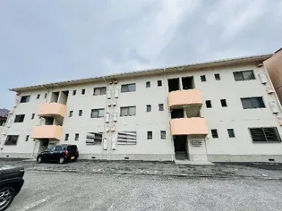 藤ヴァレイ【3階】の外観