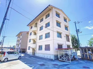 サンハイツ藤村の画像