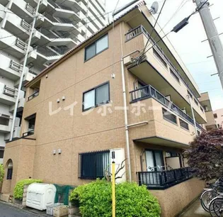 JC SOUTH SHIKIの画像