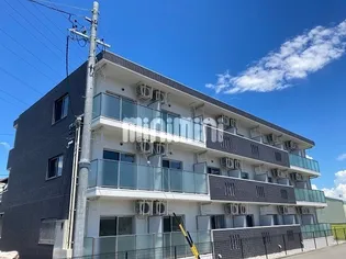 VIGORE SHIRASUKAの画像