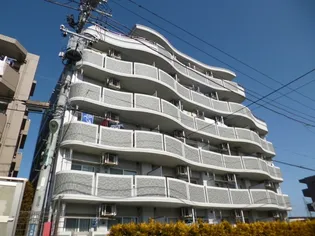 WAVES&SHELLSの画像