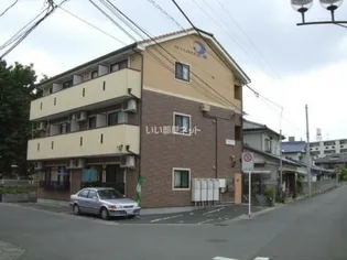 ラ プリマベーラ アケボノの画像