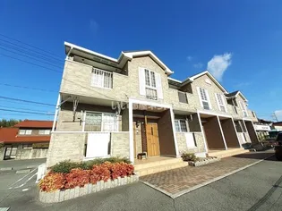 シュトラールの画像