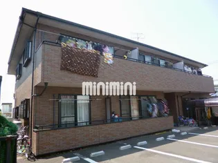 たんぽぽの画像