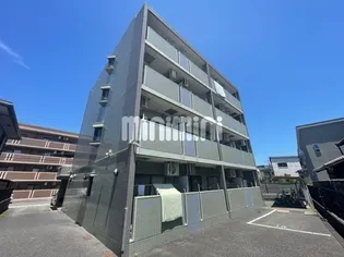 グリーンリーフの画像