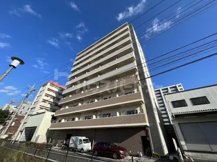 スウィート パピヨンの画像