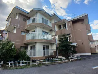 パソナⅦの画像