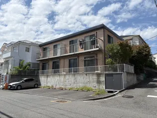 アムール葉桜の画像