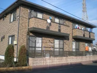 サンフレア C棟の画像