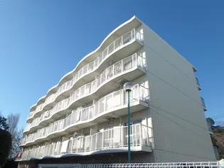 メゾン白樺の画像