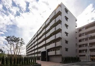 ルーブル武蔵小杉伍番館【5階】の外観