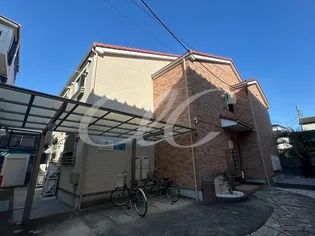 パームツリーの画像