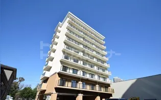 I BIS柏の葉の画像