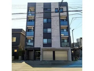 リオマーニ カルムの画像