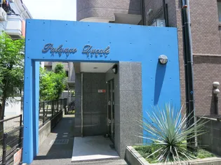 パラゾドゥカーレの画像