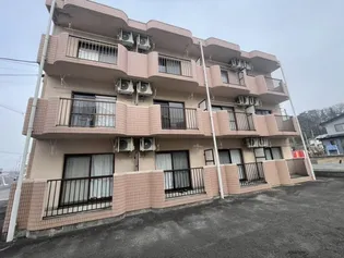 ミースモンペールの画像