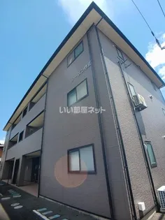 シーズン柞田の画像