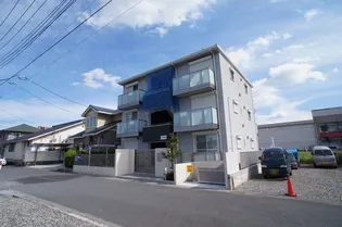 ヴィスタの画像