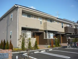 アイビー Aの画像