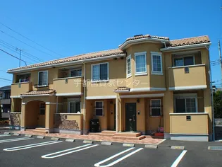 サンフラワーAの画像