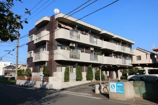 グレースフル・ピオナーM【3階】の外観