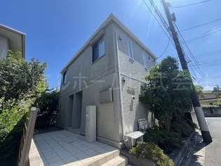 コーラル Aの画像