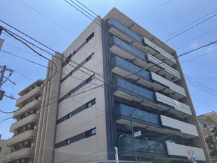 ラディーチェの画像